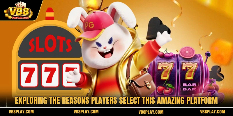 Exploring the reasons players select this amazing platform