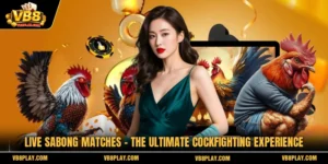Live Sabong Matches